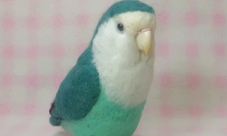 リアルサイズ♪ コザクラインコ ☆ ラブバード ☆羊毛フェルト☆羊毛インコ☆羊毛フィギュア☆ 🍀 うちの子オーダーお気軽にお問い合わせください。 |  TanoMake(タノメイク) | 欲しいものが頼めるオーダーメイド特化型オンラインマーケット