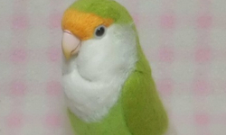 リアルサイズ♪ コザクラインコ ☆ ラブバード ☆羊毛フェルト☆羊毛インコ☆羊毛フィギュア☆ 🍀 うちの子オーダーお気軽にお問い合わせください。 |  TanoMake(タノメイク) | 欲しいものが頼めるオーダーメイド特化型オンラインマーケット