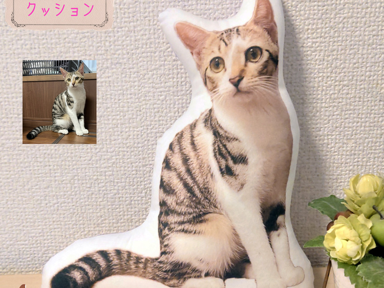 ⭐︎オーダーメイド⭐︎うちの子マスコット うちの子そのまんまクッション リアルな等身大Mサイズ○40~49cm