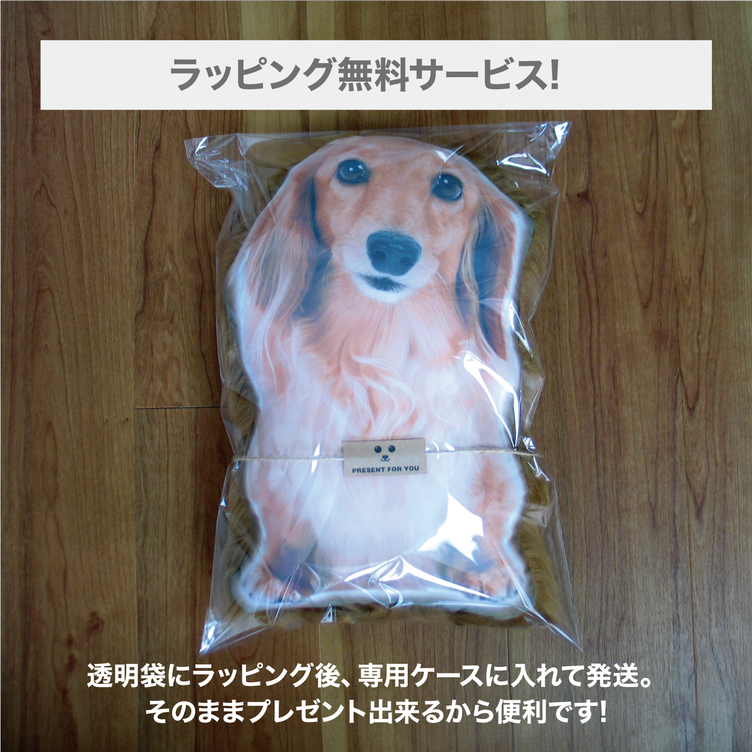 犬 30センチ オーダーメイド ビッグサイズ 犬 猫 ペット 動物 ダックス クッション ぬいぐるみ 人形