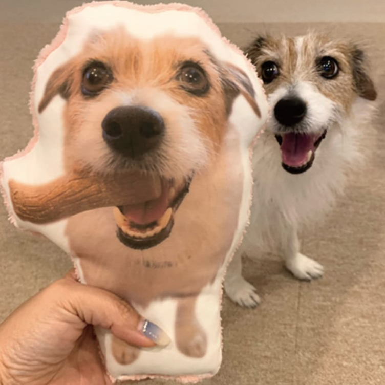 犬 猫 ペット 動物 ビーグル クッション ぬいぐるみ 人形