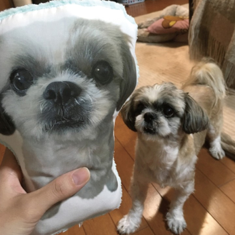 犬 猫 ペット 動物 ビーグル クッション ぬいぐるみ 人形