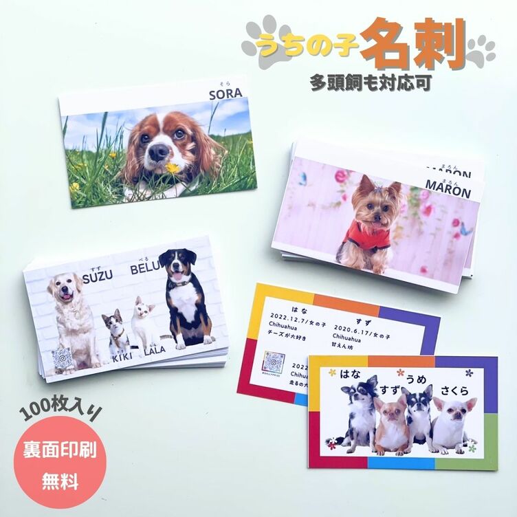 〈オーダーメイド〉うちの子名刺 100枚 ペット 犬 猫 うちのこ 家族 いぬ ねこ イヌ ネコ 愛犬 愛猫 思い出 名刺 メモリアル オーダー オリジナル メモリアルグッズ 写真 記念品 ギフト プレゼント 贈り物 おしゃれ オシャレ 可愛い かわいい オフ会 お友達 記念 仲良し