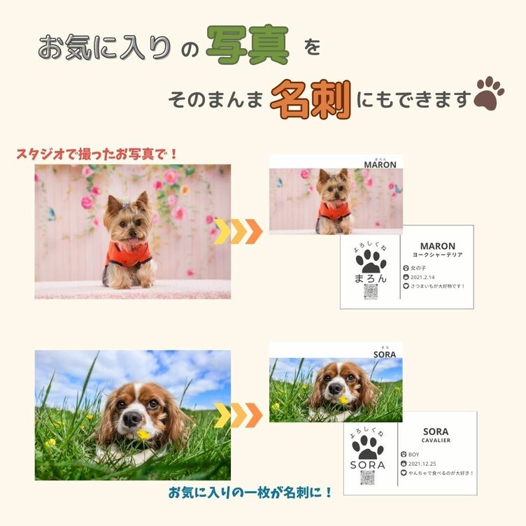 オーダーメイド〉うちの子名刺 100枚 ペット 犬 猫 うちのこ 家族 いぬ 