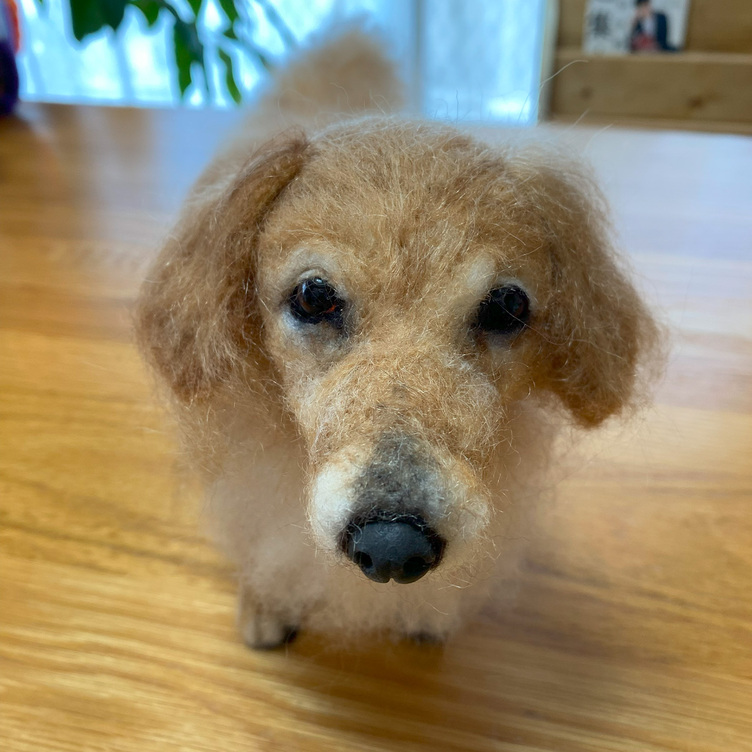 ミニチュアモールドールのペキニーズ モールアート いぬ 犬 イヌ