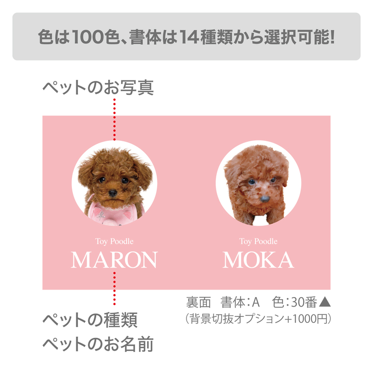 【両面100枚 2匹用】 犬　猫　ペット　名刺　カード　オーダーメイド　オリジナル　うちの子　親バカ　グッズ