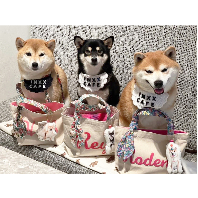 【いちご大福様ご確認用】☆レッスンバッグチャーム→犬の迷子札チャーム☆ いちご大福様ご確認用】☆レッスンバッグチャーム→犬の迷子札