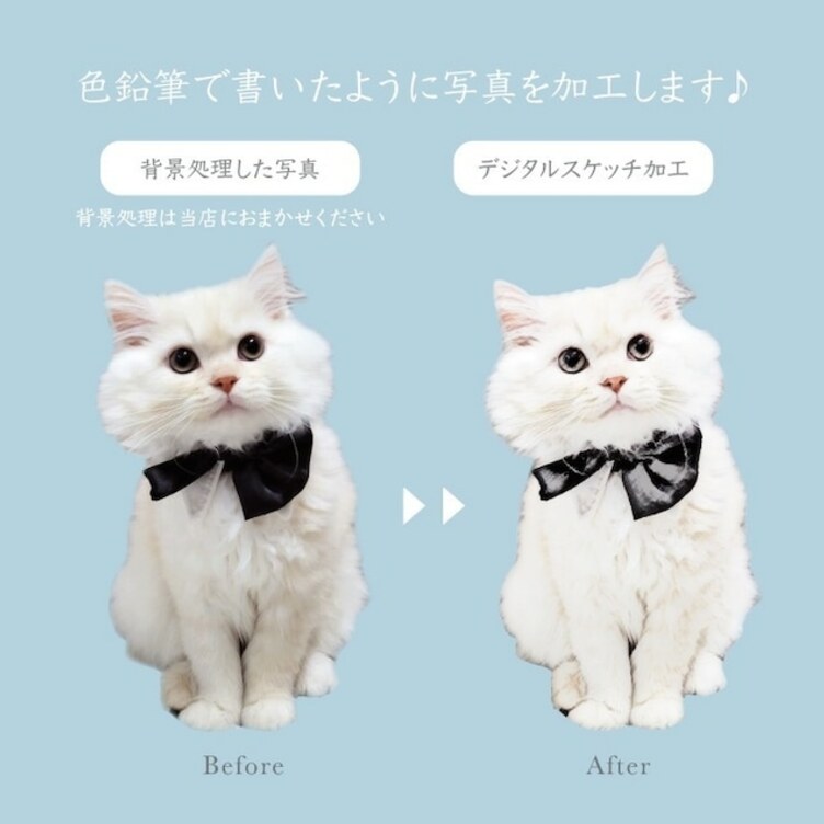 ペットの写真が入った、デジタルスケッチ加工・ひまわり/向日葵★お洒落で可愛い婚姻届　切り抜き写真入れたセミオーダーメイド　愛犬　猫　写真入れ　文字入れ日付入れ　世界でたった1つの婚姻届