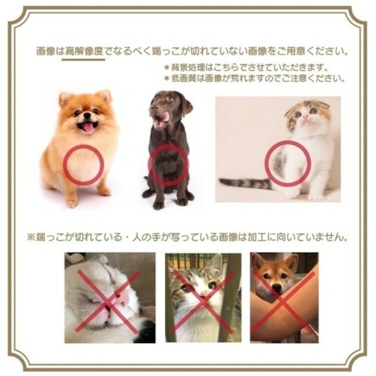 ペットの写真が入った、デジタルスケッチ加工・ひまわり/向日葵★お洒落で可愛い婚姻届　切り抜き写真入れたセミオーダーメイド　愛犬　猫　写真入れ　文字入れ日付入れ　世界でたった1つの婚姻届
