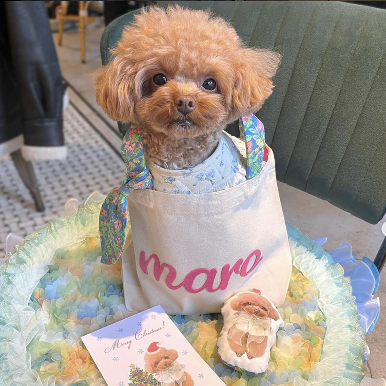 送料無料！1番人気！うちの子チャーム付きバッグ | TanoMake