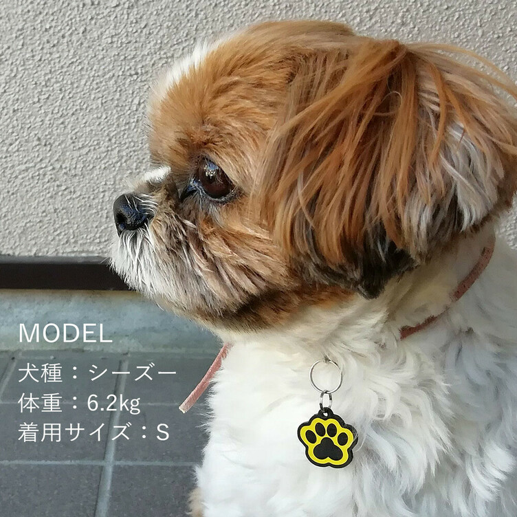 肉球型の迷子札 犬猫の肉球名札 ネームプレート Tanomake タノメイク 欲しいものが頼めるオーダーメイド特化型オンラインマーケット