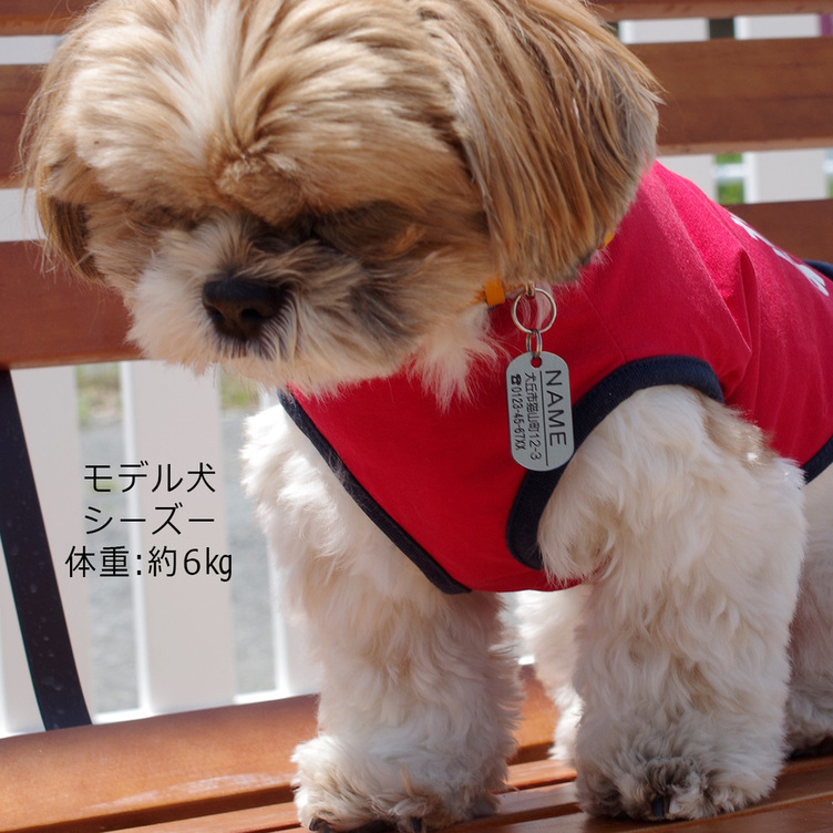 ドッグタグ風の迷子札 犬猫の名札 ネームプレート Tanomake タノメイク 欲しいものが頼めるオーダーメイド特化型オンラインマーケット