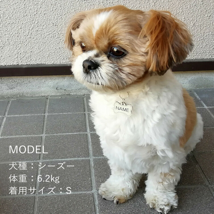 迷子札 骨型両面タイプ 犬の名札 ネームプレート Tanomake タノメイク 欲しいものが頼めるオーダーメイド特化型オンラインマーケット
