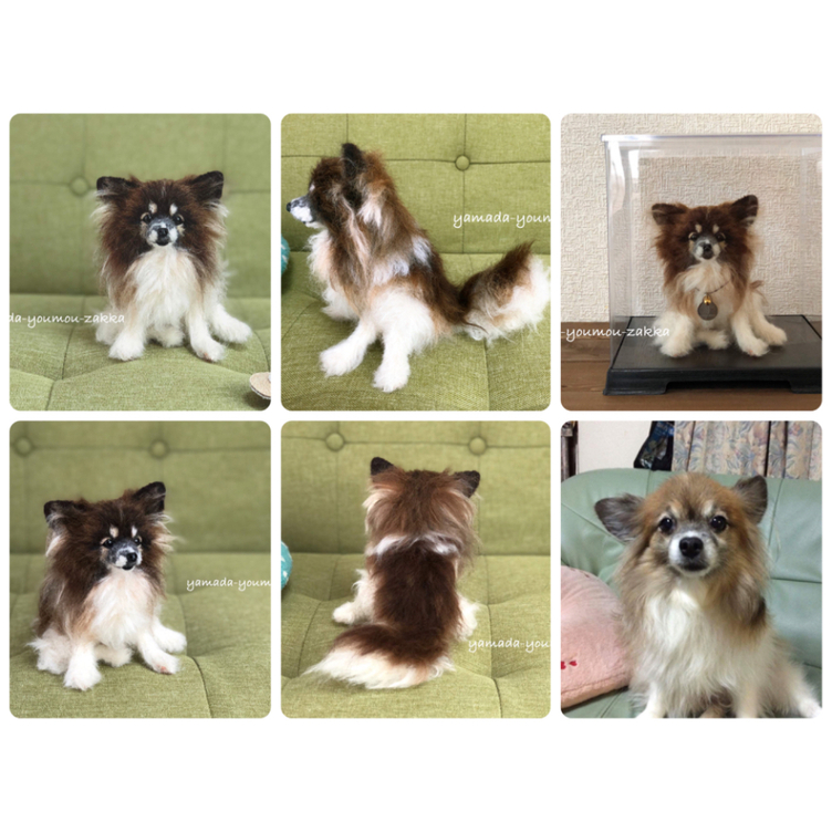 オーダー 送料無料】羊毛フェルト《うちの子約20cm 犬 猫 マスコット オーダー 送料無料】羊毛フェルト《うちの子約20cm 犬 猫 マスコット