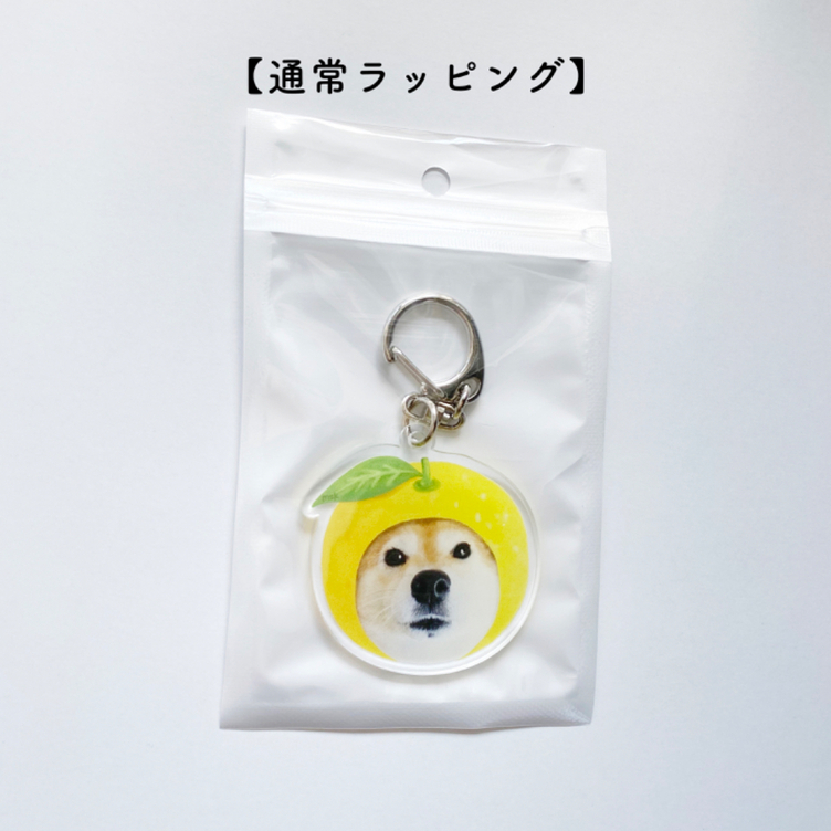 送料込【 送料込【