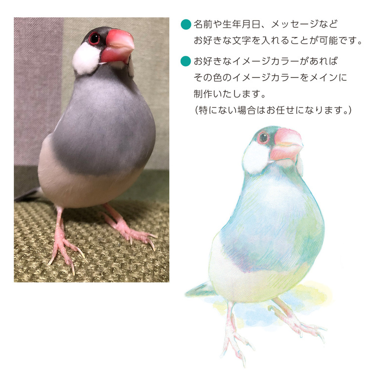 みてみてうちの子　ペットの似顔絵（小鳥）オーダーメイド