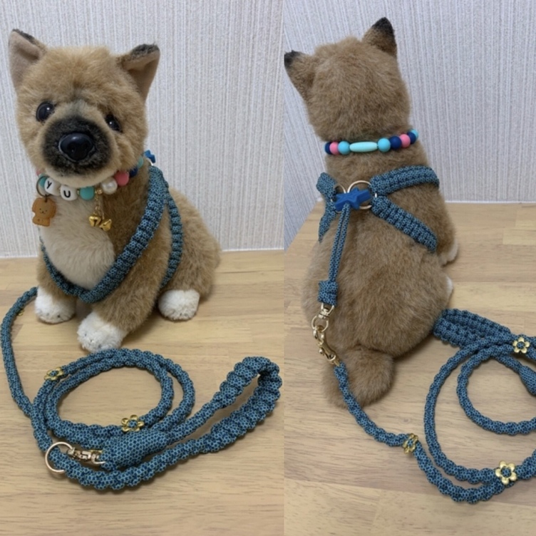 犬 フルオーダーカフェリード（BLENHEIM 棒柄のカフェリード｜ドッグ  