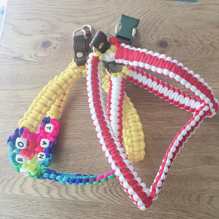 パラコード&本革ハーネス】♡SWINY by wantasista☆ | TanoMake