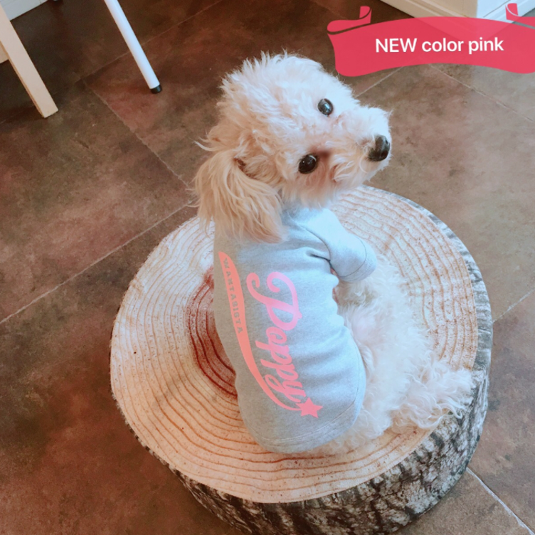 犬服・アクセサリー ame 楽天市場】犬 リボン ゴム ヘアアクセサリー【2個セット 麻生地