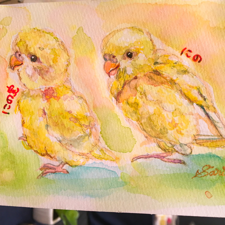 ☆鳥さん似顔絵☆さりペットアート✴︎原画オーダー／水彩