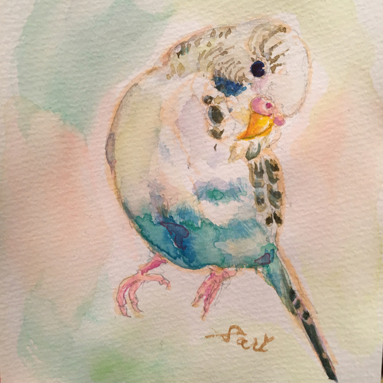 ☆鳥さん似顔絵☆さりペットアート✴︎原画オーダー/水彩 ☆鳥さん似顔絵☆さりペットアート✴︎原画オーダー/水彩