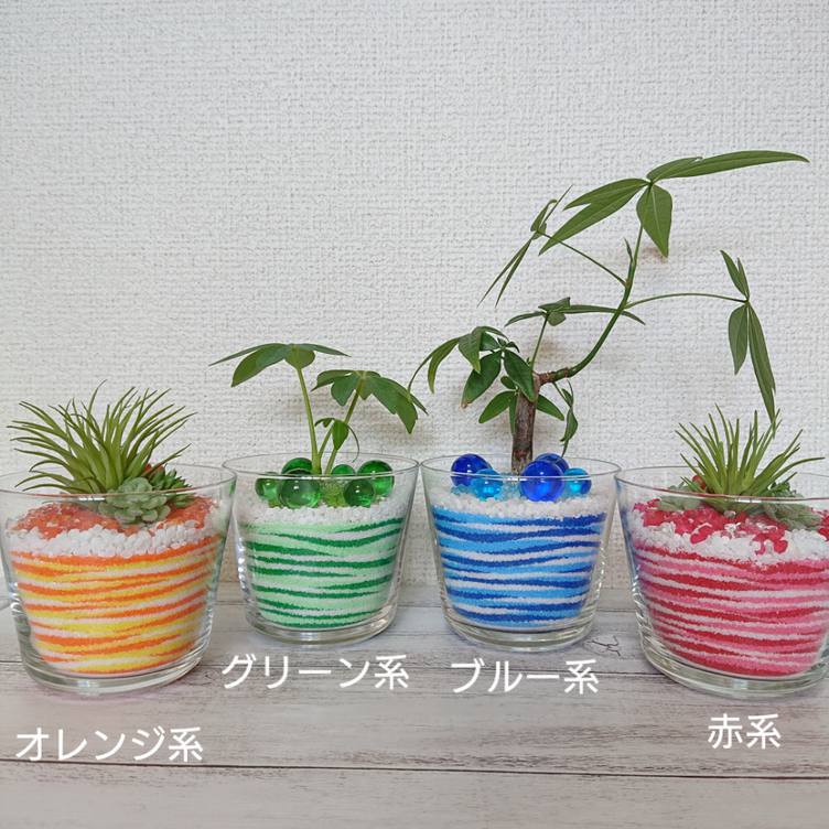 セール グラスサンドアート 観葉植物