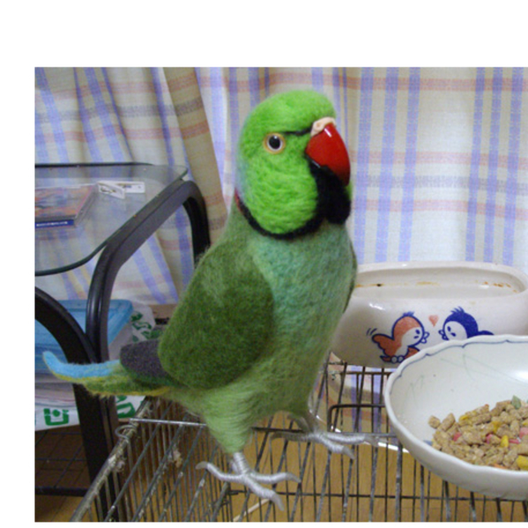 リアルサイズ♪ ホンセイインコ属 羊毛フェルト☆羊毛インコ☆羊毛フィギュア☆ ワカケホンセイインコ（ルチノーやブルーなどに変更可）・ダルマインコなど  | TanoMake(タノメイク) | 欲しいものが頼めるオーダーメイド特化型オンラインマーケット