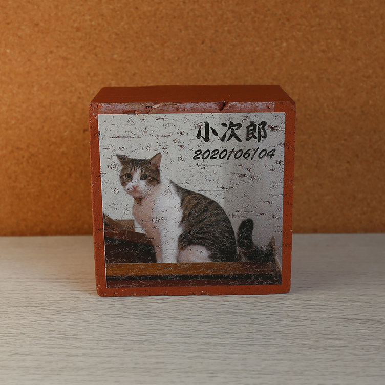 ペット写真のレンガ