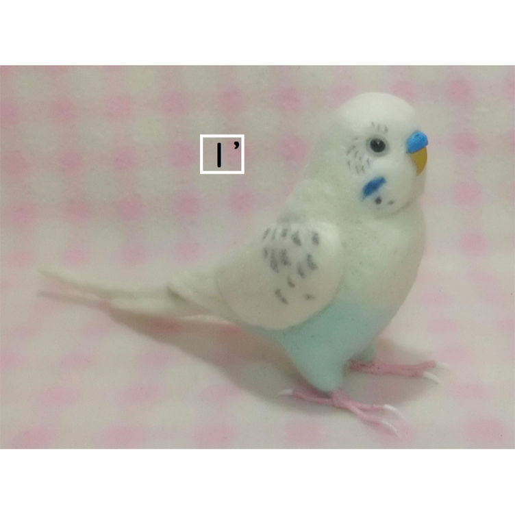 リアルサイズ♪ セキセイインコ 羊毛フェルト☆羊毛インコ☆羊毛フィギュア☆ 🍀 うちの子オーダーお気軽にお問い合わせください。 |  TanoMake(タノメイク) | 欲しいものが頼めるオーダーメイド特化型オンラインマーケット