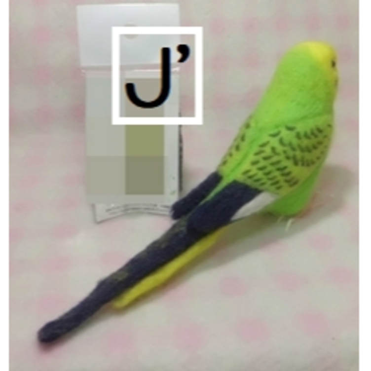 羊毛フェルト セキセイインコ 羊毛フェルト maron 通販 14084487