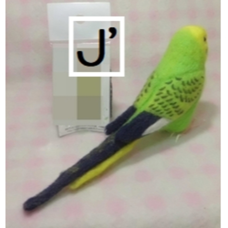 リアルサイズ♪ セキセイインコ 羊毛フェルト☆羊毛インコ☆羊毛フィギュア☆ 🍀 うちの子オーダーお気軽にお問い合わせください。 |  TanoMake(タノメイク) | 欲しいものが頼めるオーダーメイド特化型オンラインマーケット