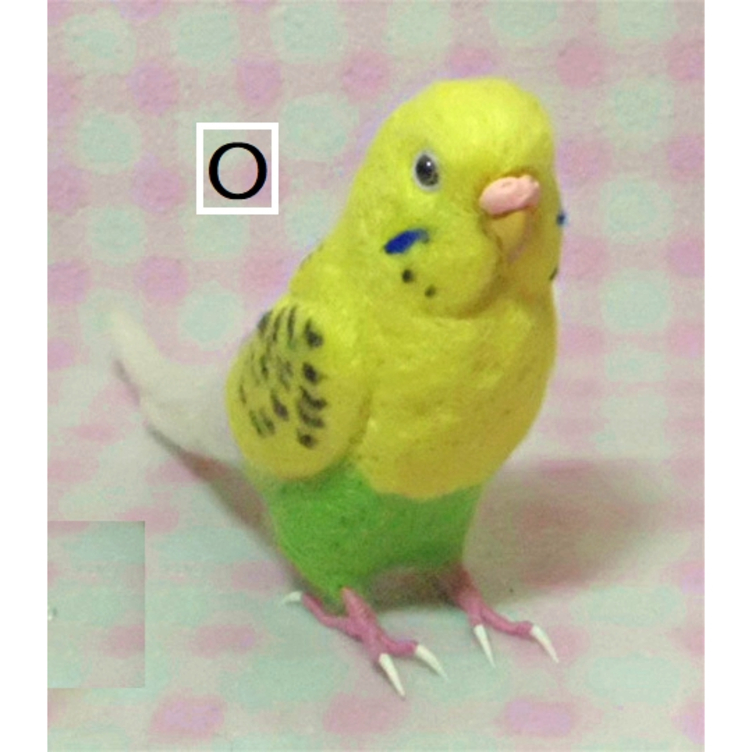 羊毛フェルト。インコ。リース。オーダーNo.58 よろこん