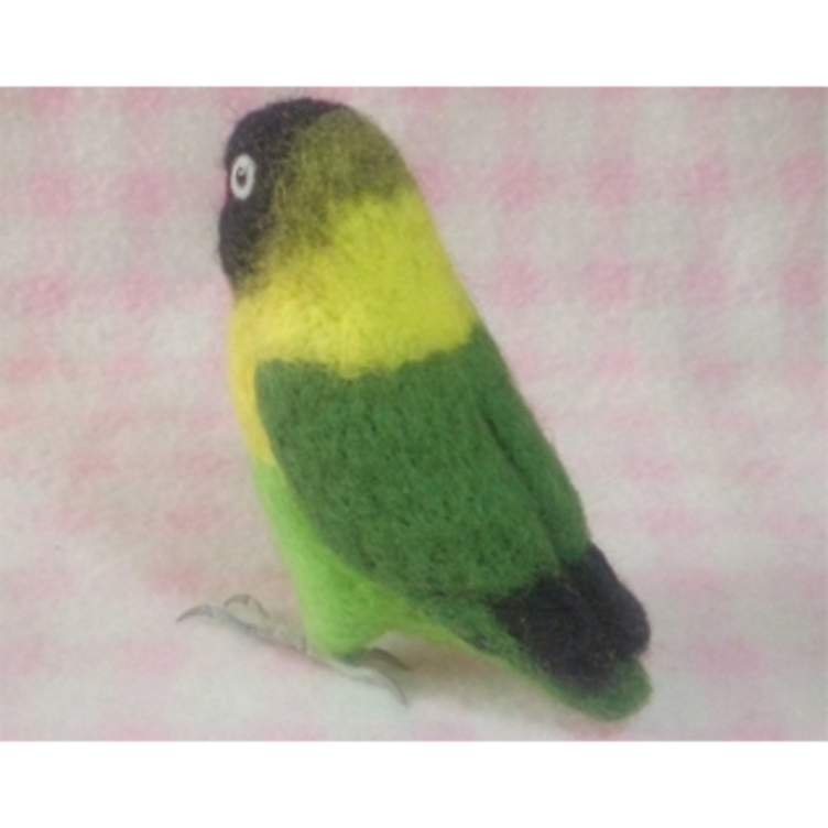 リアルサイズ♪ ボタンインコ ☆ ラブバード ☆羊毛フェルト☆羊毛