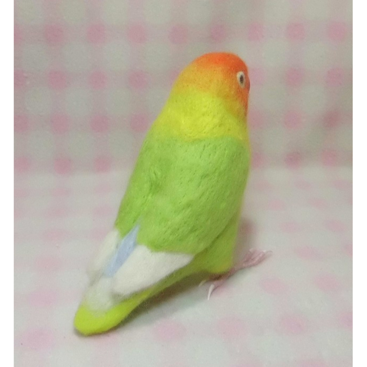 リアルサイズ♪ ボタンインコ ☆ ラブバード ☆羊毛フェルト☆羊毛