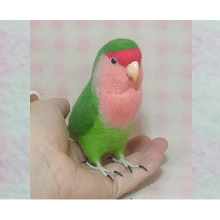 リアルサイズ♪ コザクラインコ ★ ラブバード ★羊毛フェルト★羊毛インコ★羊毛フィギュア★ 🍀 うちの子オーダーお気軽にお問い合わせください。
