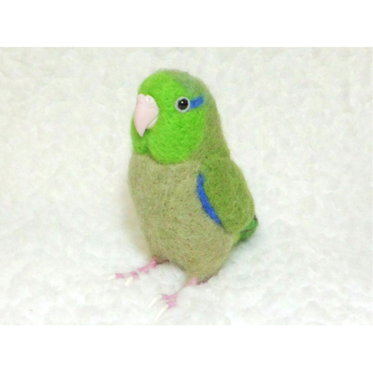 リアルサイズ♪ マメルリハ  ★羊毛フェルト★羊毛インコ★羊毛フィギュア★ 🍀 うちの子オーダーお気軽にお問い合わせください。