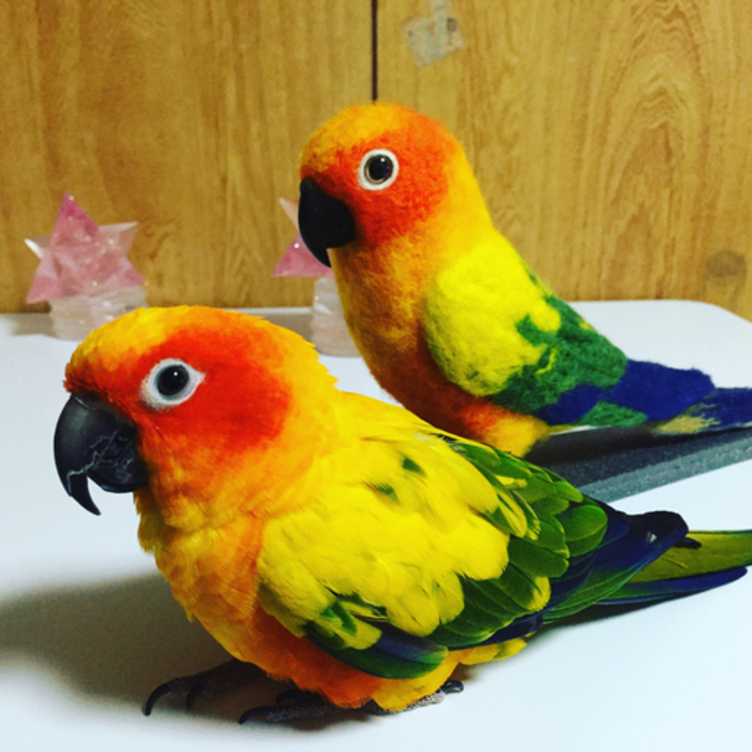 リアルサイズ   羊毛コガネメキシコインコ（ナナイロメキシコ・ゴシキメキシコ・チャノドメキシコ・サントメインコ・テツバシメキシコ）  ★羊毛フェルト★羊毛インコ ★羊毛フィギュア★ 🍀 うちの子オーダーお気軽にお問い合わせください。