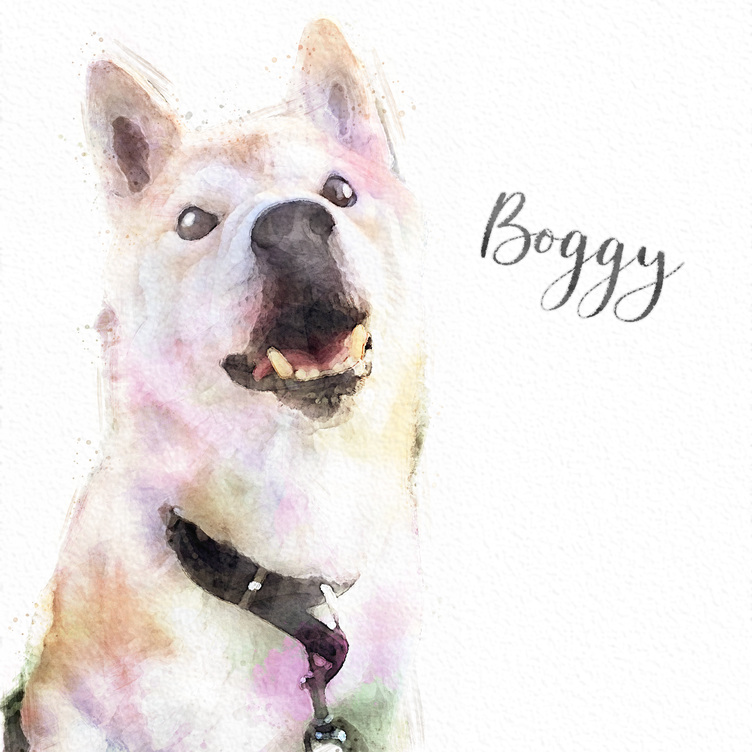 出品記念価格 うちの子イラスト ふんわり虹色水彩風 Tanomake タノメイク 欲しいものが頼めるオーダーメイド特化型オンラインマーケット