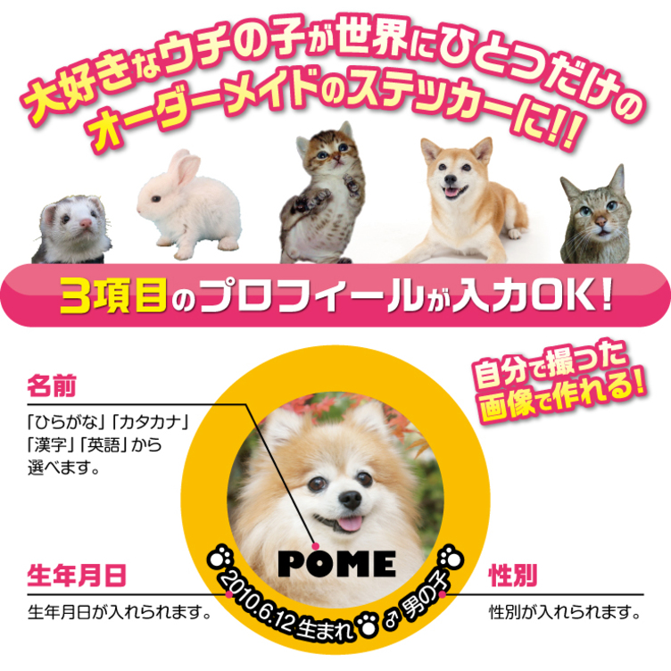 犬 猫 ペット ステッカー 写真 名前入り オーダーメイド オリジナル 01 TanoMake(タノメイク) 欲しいものが頼めるオーダーメイド 特化型オンラインマーケット