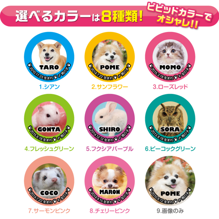 犬 猫 ペット ステッカー 写真 名前入り オーダーメイド オリジナル 01 
