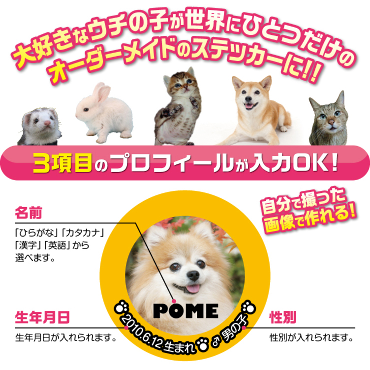 犬 猫 ペット ステッカー 写真 名前入り オーダーメイド オリジナル 02 