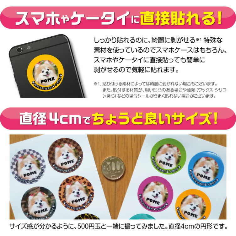 犬 猫 ペット ステッカー 写真 名前入り オーダーメイド オリジナル 02 
