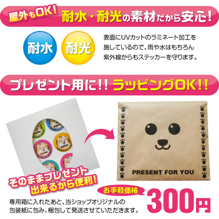 犬 猫 ペット ステッカー 写真 名前入り オーダーメイド オリジナル 02 
