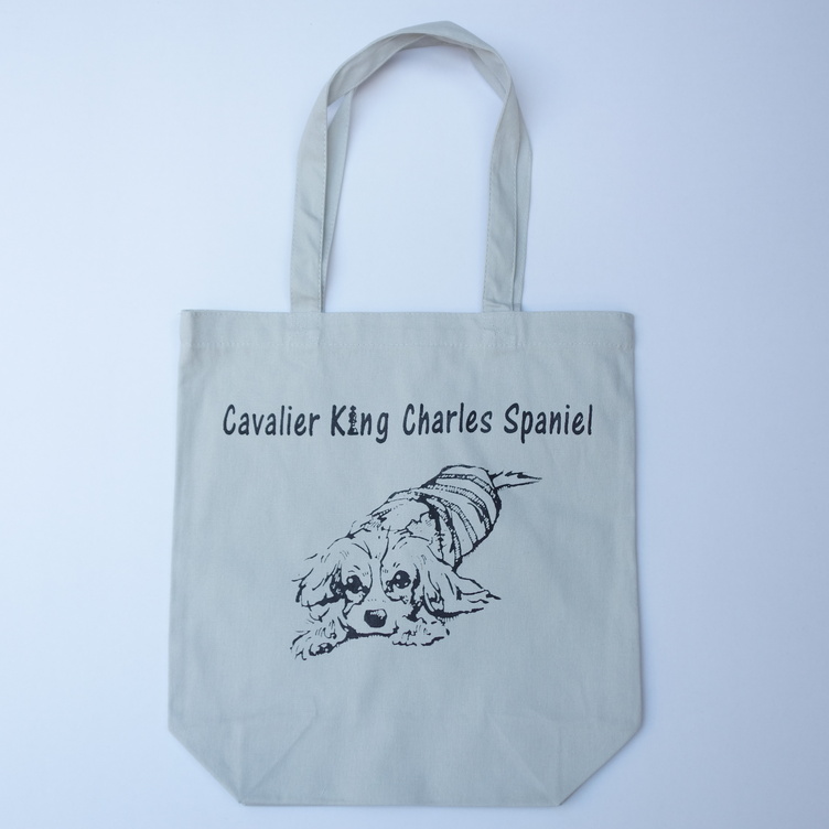 キャンバストートバック