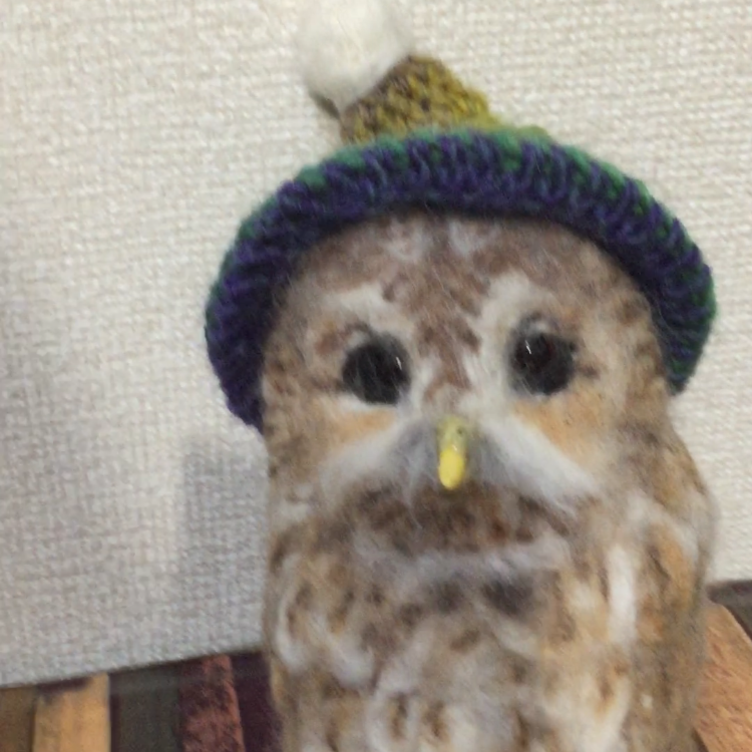 羊毛フェルトのモリフクロウ | TanoMake(タノメイク) | 欲しい
