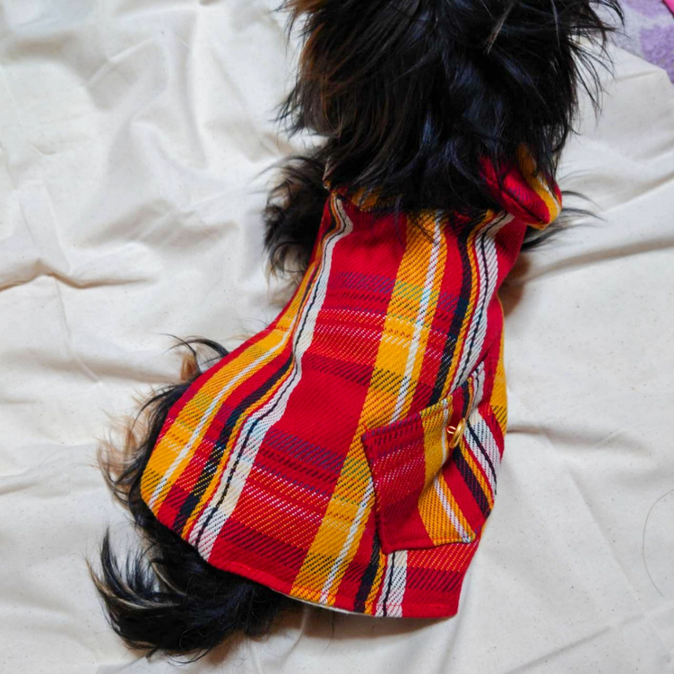 イタグレ服 アウター オーダー受付‼︎ 着せやすい犬服