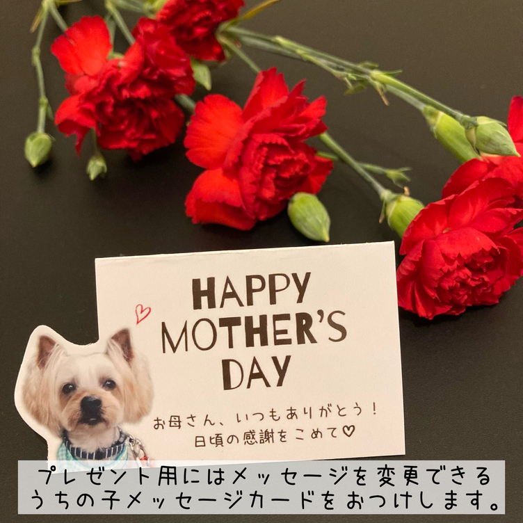 うちの子ミニトートバッグ お散歩バッグ ランチトート 犬 猫 オーダー 名入れ Tanomake タノメイク 欲しいものが頼めるオーダーメイド 特化型オンラインマーケット