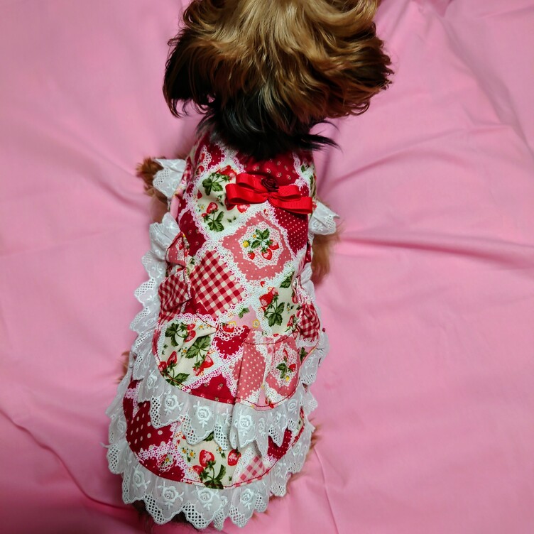 着せやすい犬服❤️パッチワーク風いちごのフリルフリルワンピース❤️オーダーメイドで💕