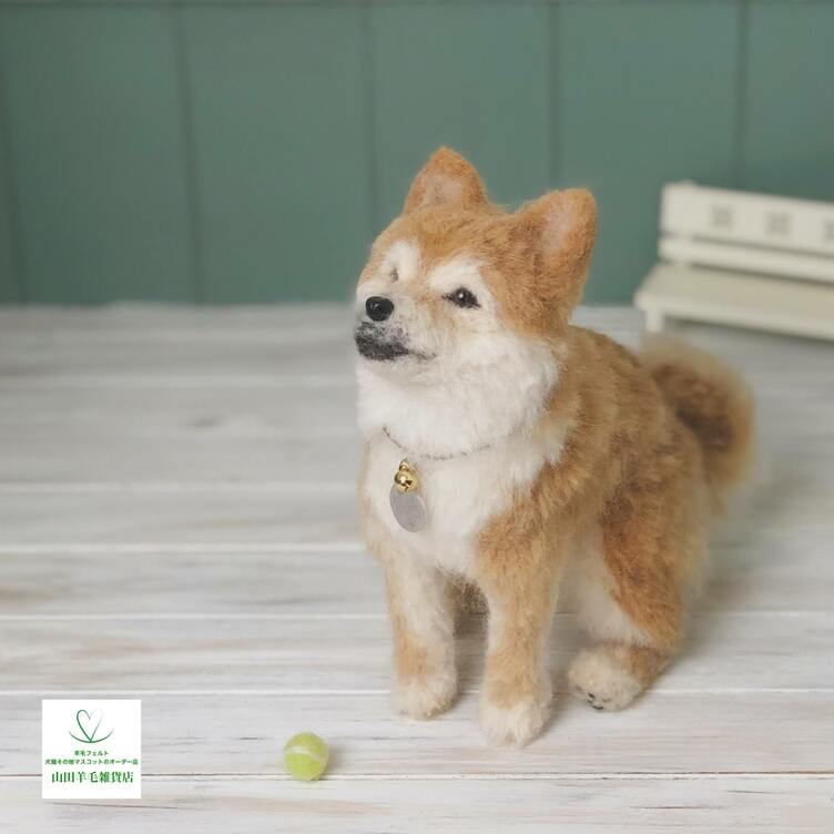 注目の 羊毛フェルト うちの子オーダー 柴犬 - 趣味/おもちゃ