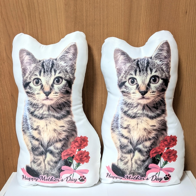 日本最大級 ✩オーダーメイド 30cm 三点セット✩ ワンちゃん、猫ちゃんのオーダークッション - アクセサリー -  www.comisariatolosandes.com